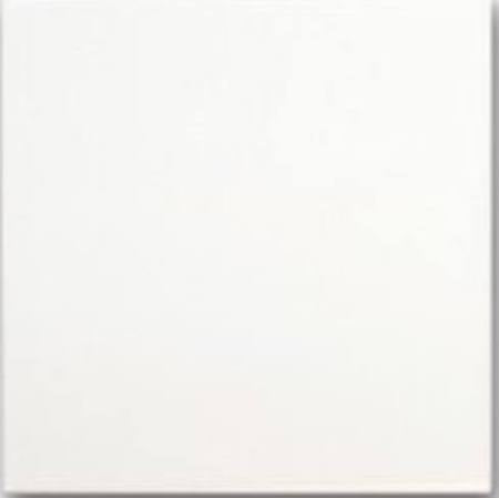 Sublimation tile(LARGE) 12x8 White Ceramic Tile